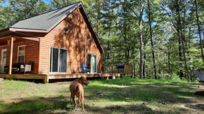 Remote Cabin WV Retreat-Escape from the Norm